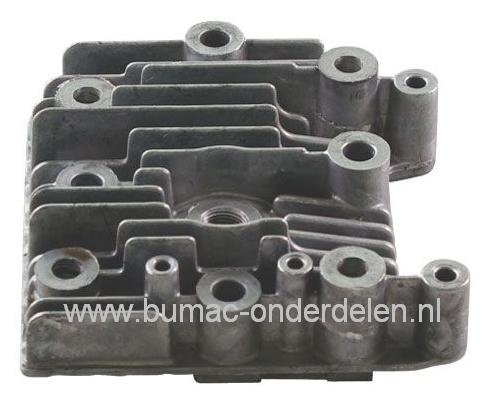 Cilinderkop voor Briggs and Stratton Quantum - Europe en Max Motoren op Grasmaaier, Grasmachine