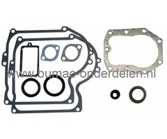 Pakkingset Briggs & Stratton IC Motoren 10 - 11 PK en Verticale Krukas op Zitmaaiers, Frontmaaiers, Tuintrekkers, Dichtingset B&S, Set Pakkingen voor B en S IC Motoren, onderdeel