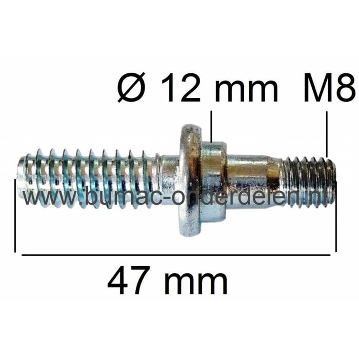 Kraagbout, Draadeind voor Stihl,Bevestigen van Zaagblad en Rechter Zijkap van Kettingzaag, Motorzaag Stihl 029 039 MS290 MS310 MS390 Stihl Tapeind voor Zaagblad Montage, onderdeel