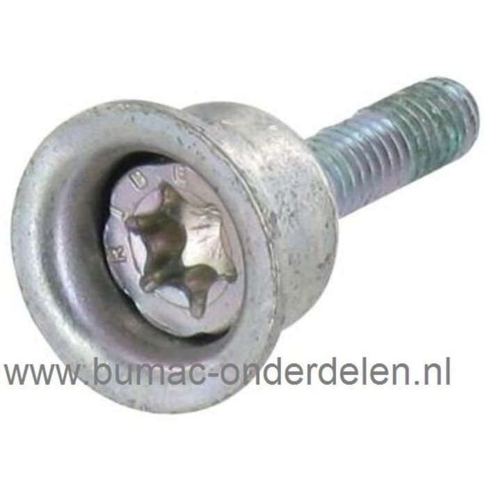 Torx Bout M4 met Klem bus voor Stihl Kettingzaag om Kettingrem hendel - Veiligheigshendel - Beschermhendel te Bevestigen