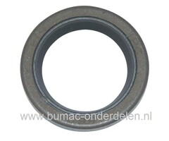 Oliekeering voor Sprint en Quantum Motoren van Briggs and Stratton Motoren op Grasmaaiers - Cirkelmaaier