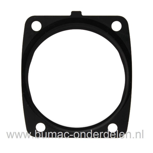 Cylinderpakking voor Stihl Kettingzagen MS 341 en MS 361, Dichtingen Cilindervoet Stihl Kettingzaag, Motorzaag MS341, MS361, Cilindervoetpakkingen, Afdichtingen STIHL 2-Takt,  Interne Motor onderdelen voor Stihl