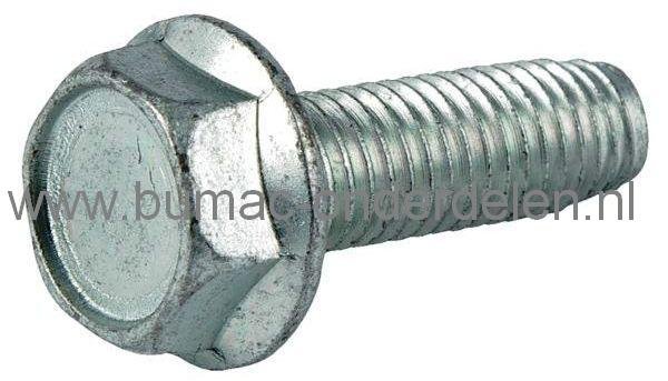 Tapbout 8x25 mm voor Alko en Brill Lagerhuis Bevestiging op Maaidek van Zitmaaier, Tuintrekker Bout voor Vastzetten van Mesashouder Alko, Brill T13-85 HD, T13-92 LUX, T14-102, T13-102 HDS Bio-Combi, T18-102 HD, T18-102 HDE, T20-102 HD, T20-102 HDE Masp