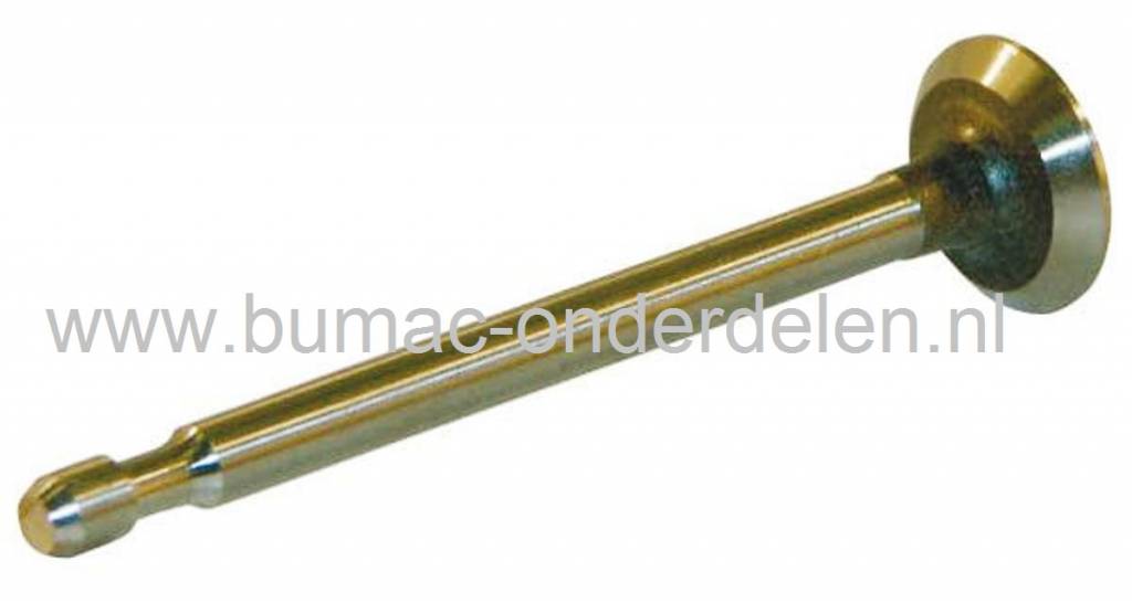 Uitlaatklep voor Briggs and Stratton Motor met Horizontale of Verticale Krukas van 2 T/m 4 Pk onder andere Sprint en Classic Motor