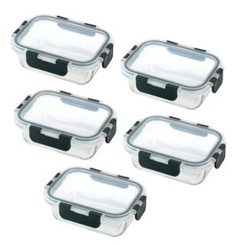 Ceruzo Meal Prep Bakjes - 5 stuks Vershoudbakjes - Glas