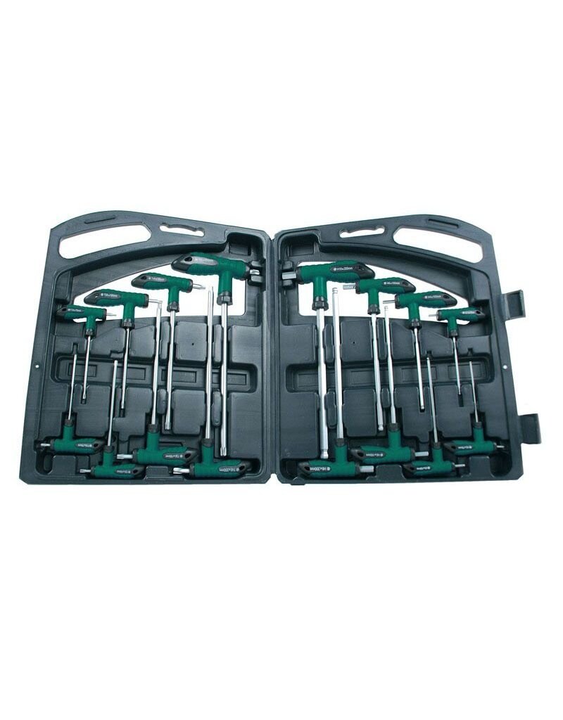 Brudermannesmann Brüder Mannesmann Inbussleutelset-Torx met T-greep - 16-delig