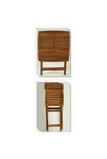 Ambiance Bistroset - Tuintafel - Tuinstoelen - Inklapbaar
