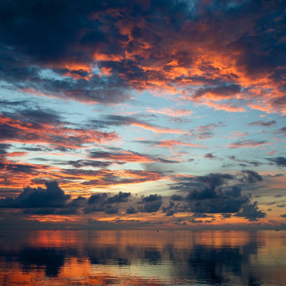 Opgiet Tranquility