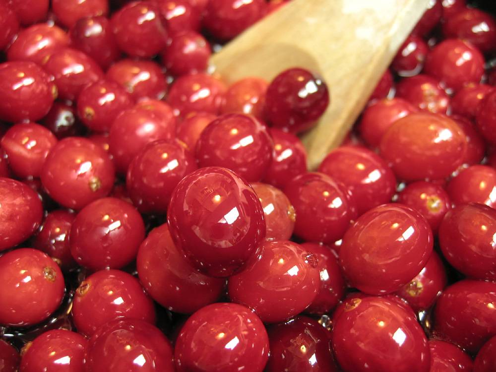 Opgiet Wild Cranberry