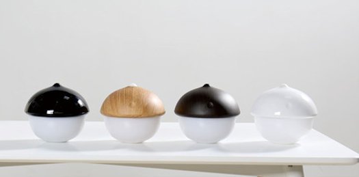 LED tafel / nacht lamp Acorn klein. accu, dimbaar