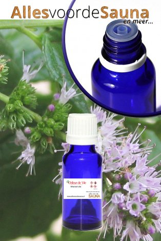 Etherische Olie Kruizemunt, Mentha spicata