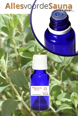 Etherische Olie Marjolein (Thymus mastichina)