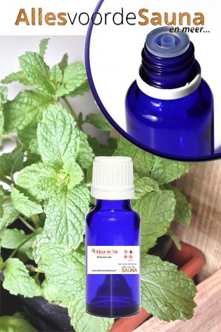 Chinese mint Parfum-olie
