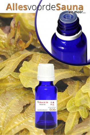 Zeewier parfum-olie