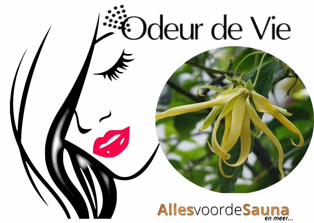 Roomspray "Ylang Ylang" 50ml