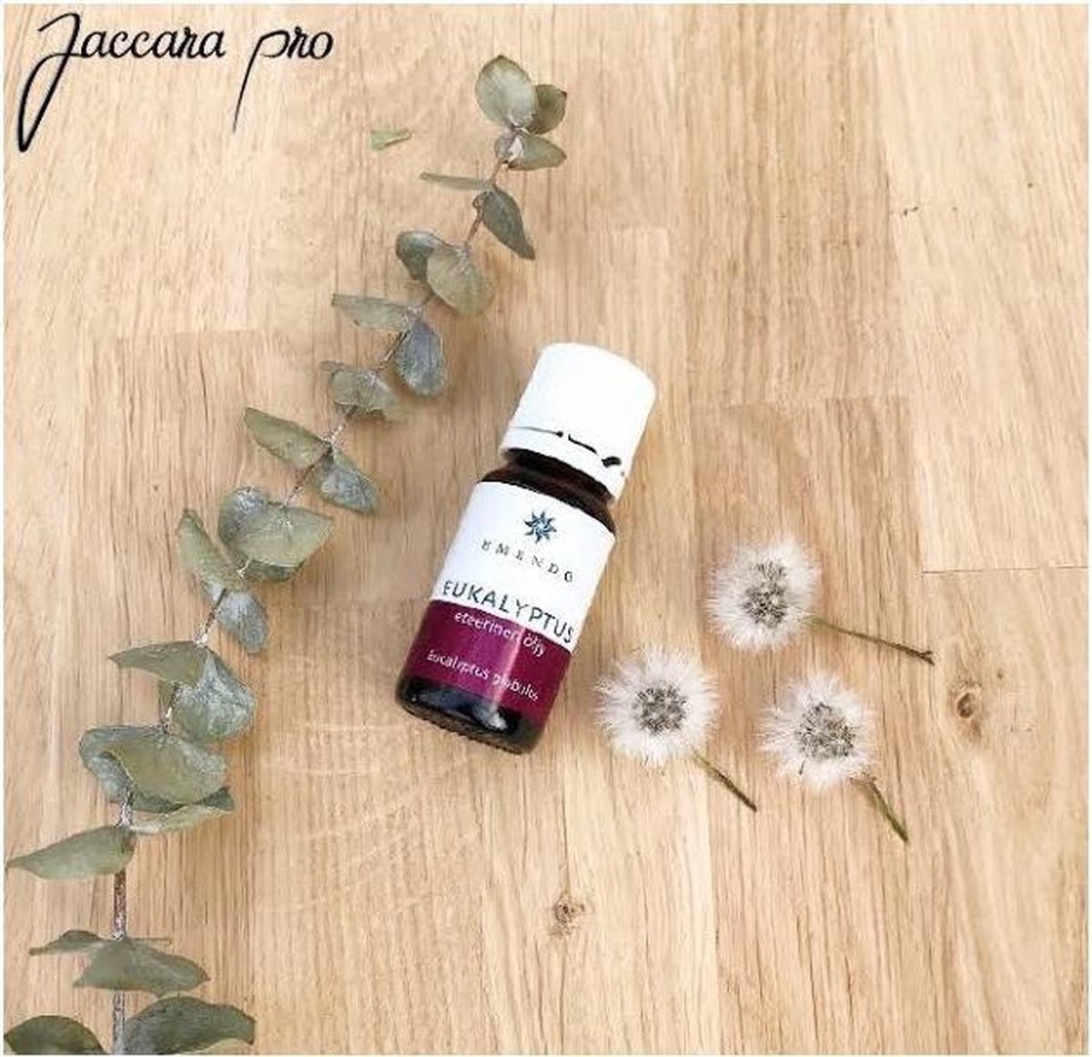 Etherische olie Eucalyptus "Eukalyptus" 10ml