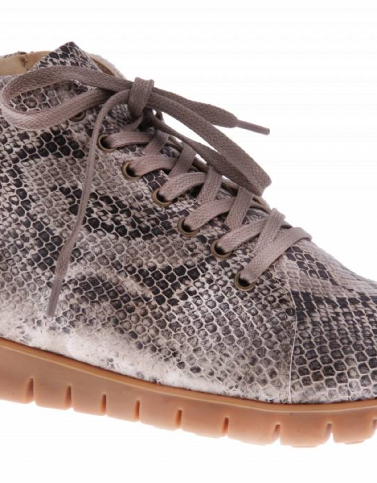 PRETTY&FAIR Ankle booty with python print - vegan - Taipan Corda - PF2013-V