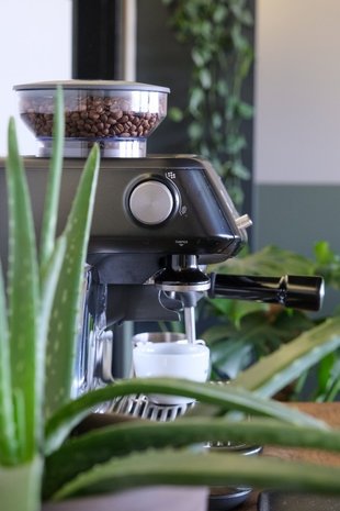 Sage The Barista Pro Espresso Coffee Machine in Black Truffle – You Barista