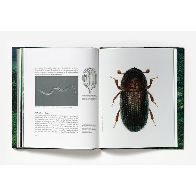 Terroir - Jem Challender / Barista Hustle | Book