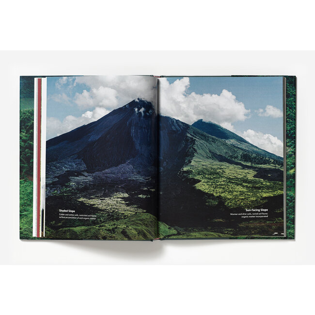 Terroir - Jem Challender / Barista Hustle | Boek