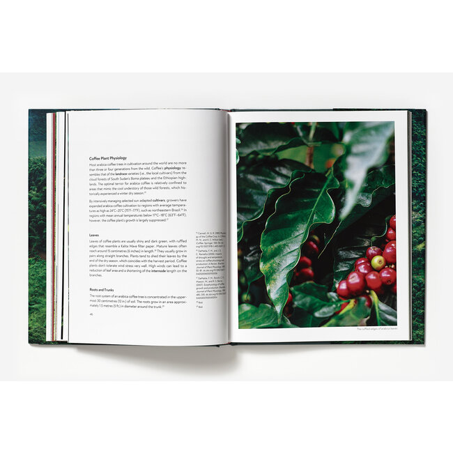 Terroir - Jem Challender / Barista Hustle | Book
