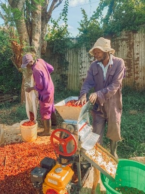 Kenya - Anthony Ikahu