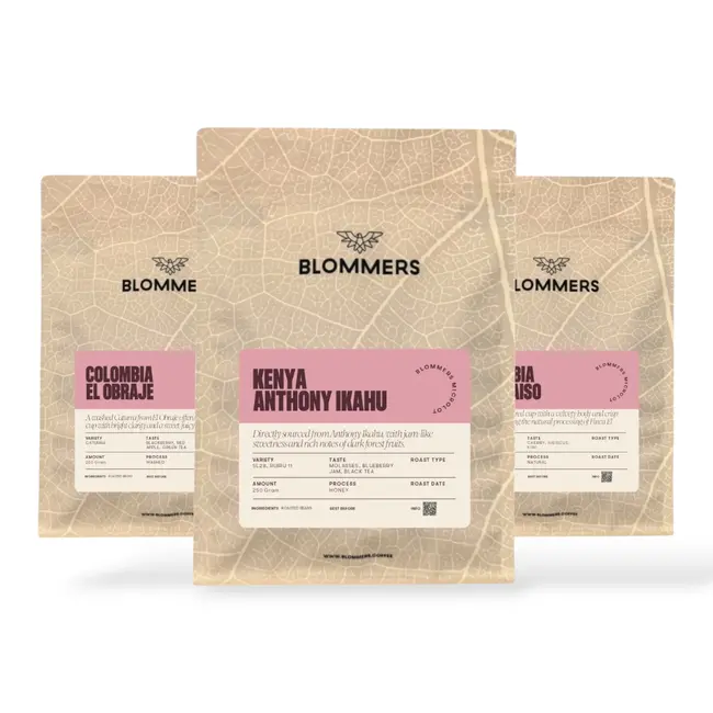 Tasting Package - Filter | Single Origin Coffee