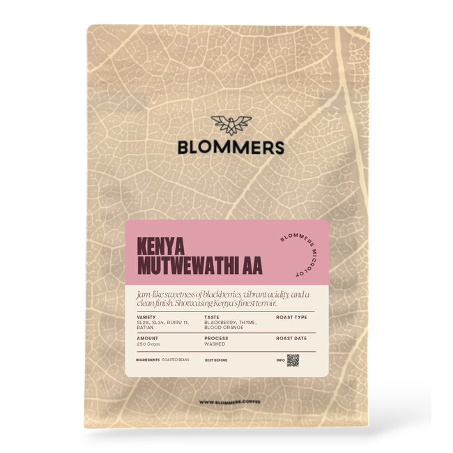 Kenya - Mutwewathi AA | Washed