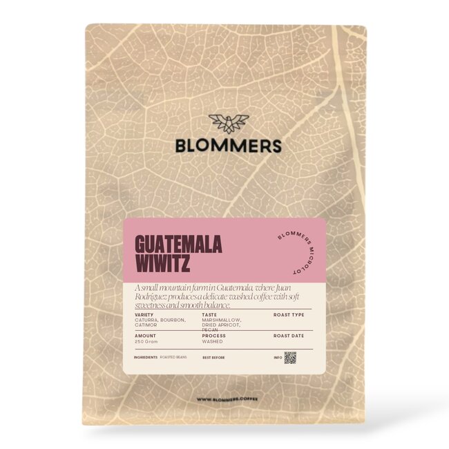 Guatemala - Wiwitz | Washed