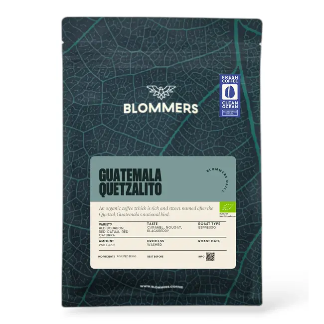 Daily Espresso - Subscription