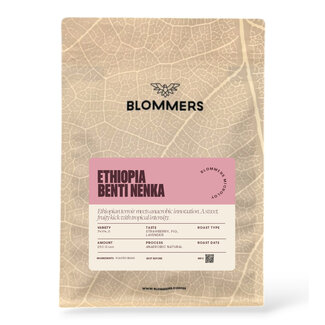 Microlot Ethiopia - Benti Nenka (Anaerobic Natural)
