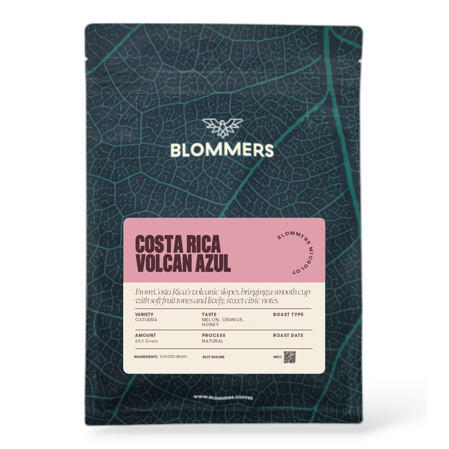 Costa Rica - Volcan Azul, Caturra | Natural