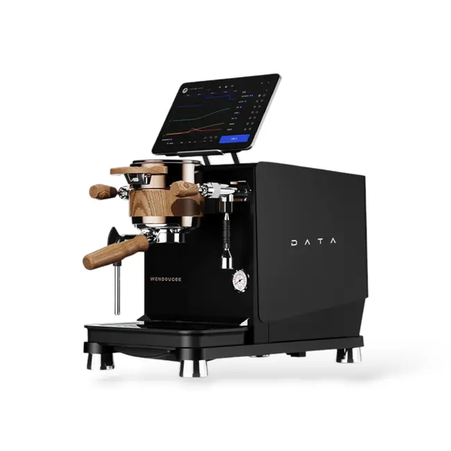 Wendougee - Data-S | Dual Boiler (Black/Gold) - Espresso machine