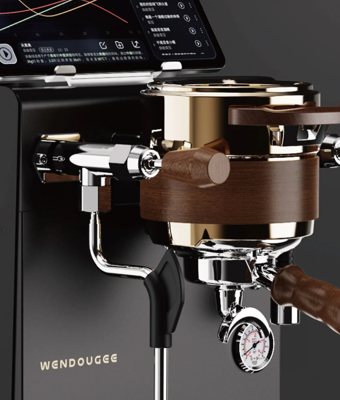 Wendougee - Data-S | Dual Boiler (Black/Gold) - Espresso machine