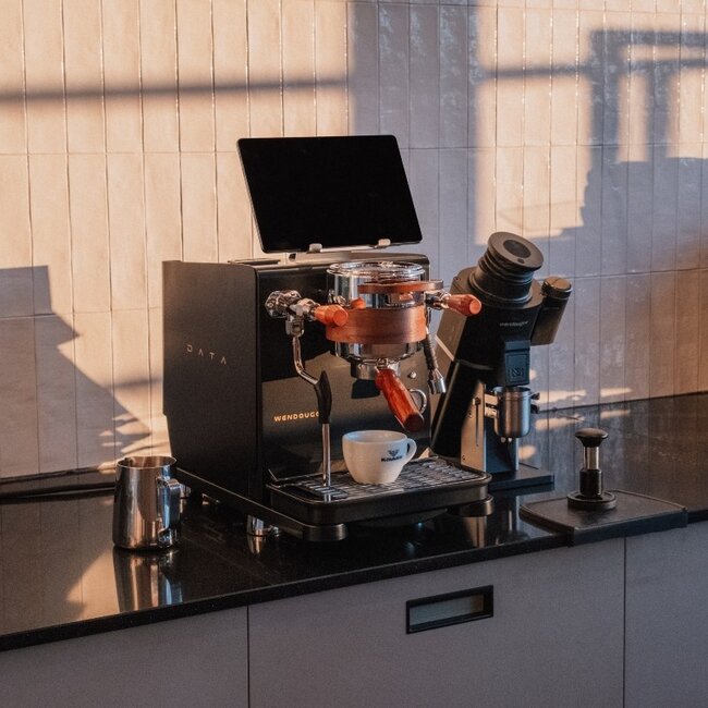 Wendougee - Data-S | Dual Boiler (Zwart/Zilver) - Espressomachine