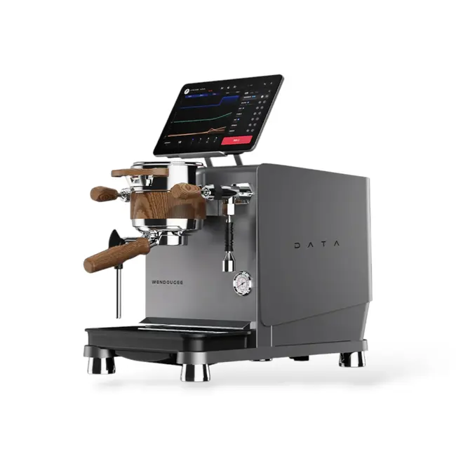 Wendougee - DATA-S | Dual Boiler (Grey/Silver) - Espresso machine