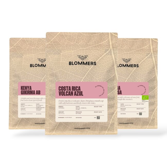 Tasting Package - Filter | Single Origin Coffee