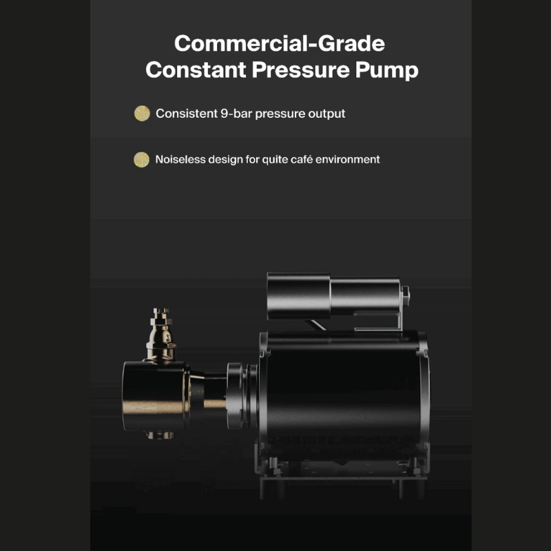 Wendougee - SDragon Solo (Black)