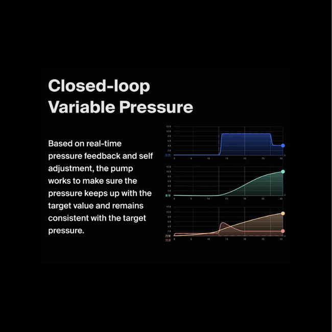 Wendougee - Data-S (Black Gold)