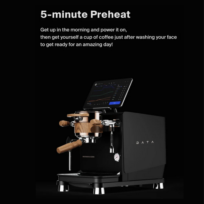 Wendougee - DATA-S | Dual Boiler (Grijs/Silver) - Espressomachine