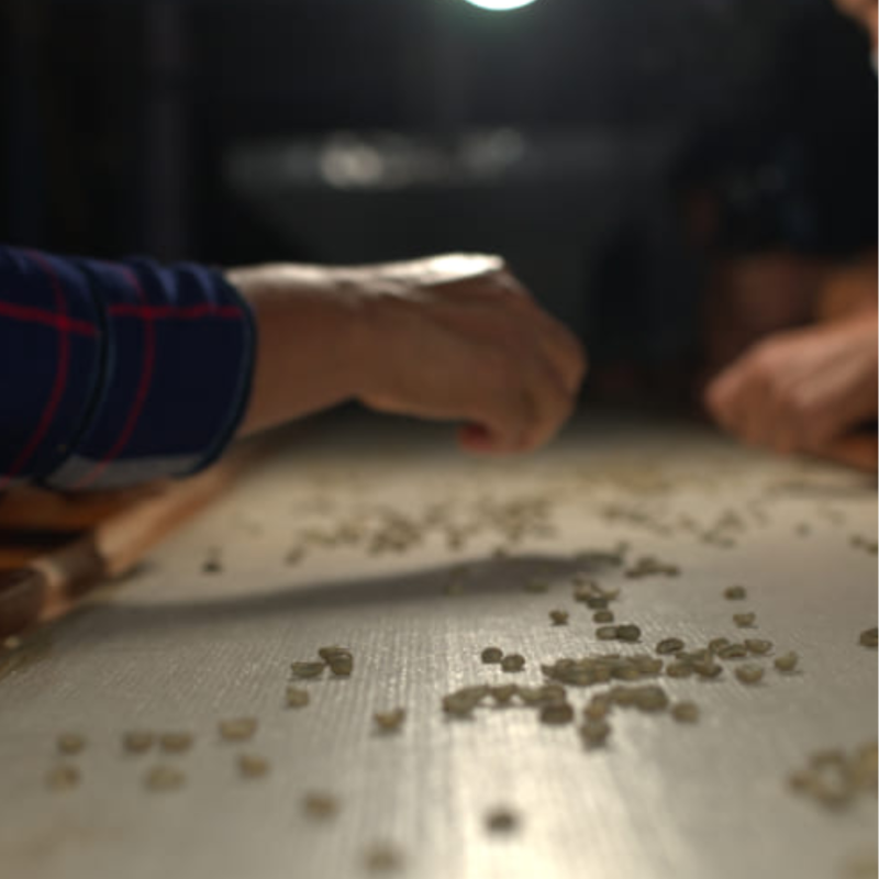 Mexico - Santa Fé, Organic | Mountain Water Decaf