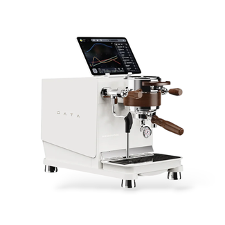 Wendougee Data-S (Wit/Zilver)