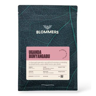 Microlot Uganda - Bunyangabu (Oro Yeast Washed)