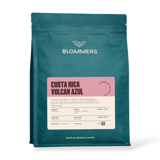 Microlot Costa Rica - Volcan Azul, Caturra (Natural)