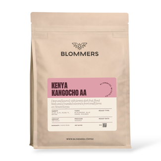 Microlot Kenya - Kangocho AA (Washed)