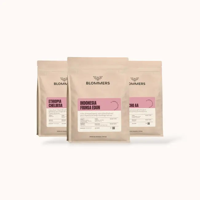 Tasting Package - Filter | Single Origin Coffee
