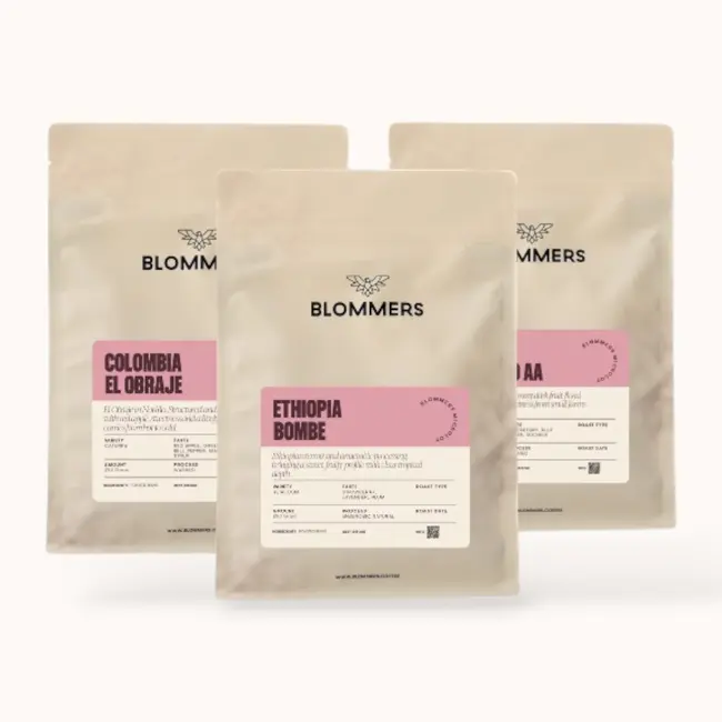 Tasting Package - Filter | Single Origin Coffee