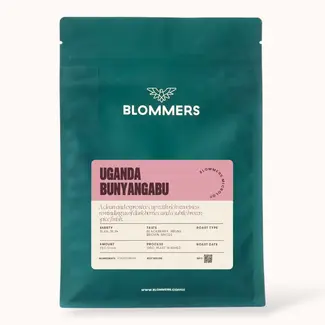 Microlot Uganda - Bunyangabu (Oro Yeast Washed)