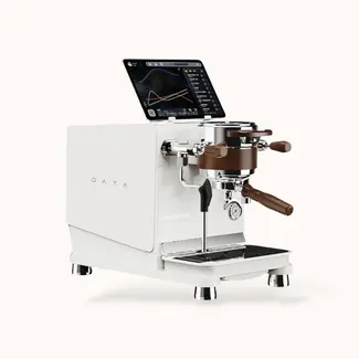 Wendougee Data-S (Wit/Zilver)