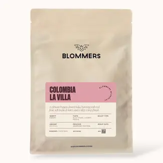Microlot Colombia - La Villa (Anaerobic Natural)